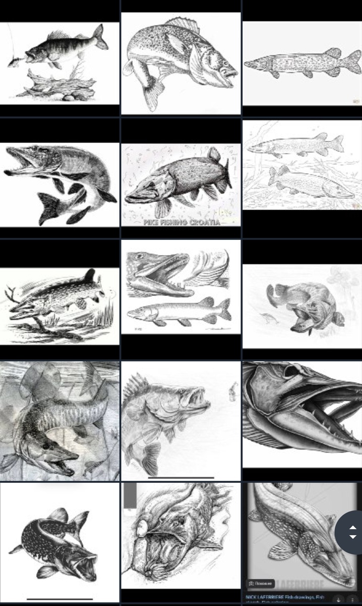 Образцы рисунков рыб, на которые предстояло ориентироваться, при нанесении гравировки на корпус и браслет часов