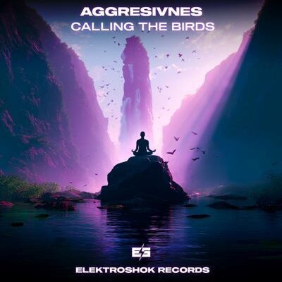 Label: Elektroshok Records
Catalog: ESBL120
Released: 2025-05-14
Style: Breaks / Breakbeat / UK Bass
Bitrate: Flac+320kbps

Tracklist:
01. Calling The Birds (Original Mix) (3:47)