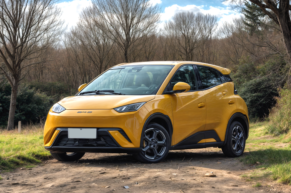 Эти системы будут и в бюджетных моделях компании. На фото BYD Seagull