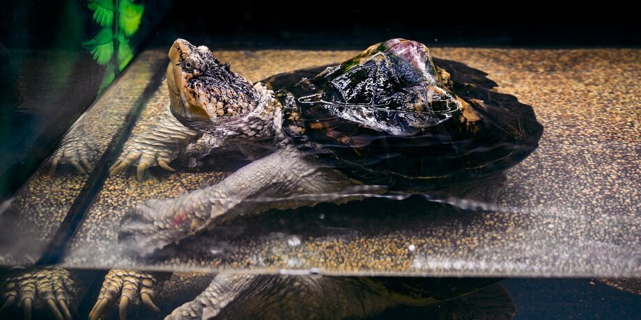 Фото: 123RF/lapis2380