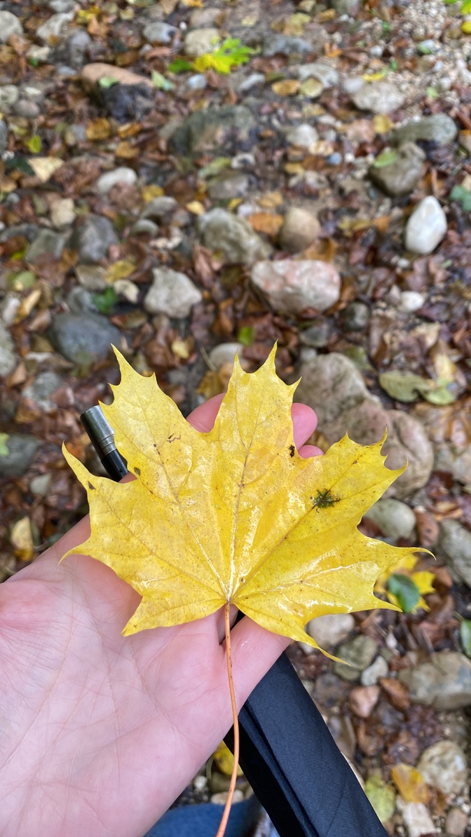 Из архива фотографий 