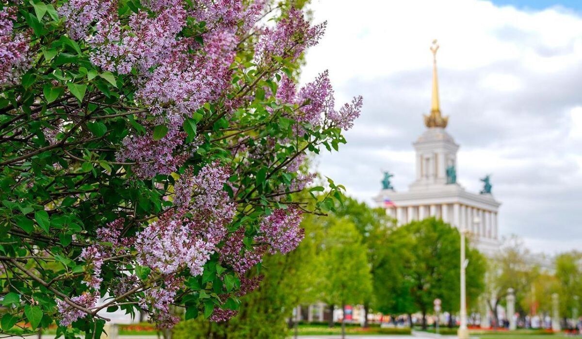     Москва. Источник: mos.ru Автор фото: Пресс-служба Мэра и Правительства Москвы