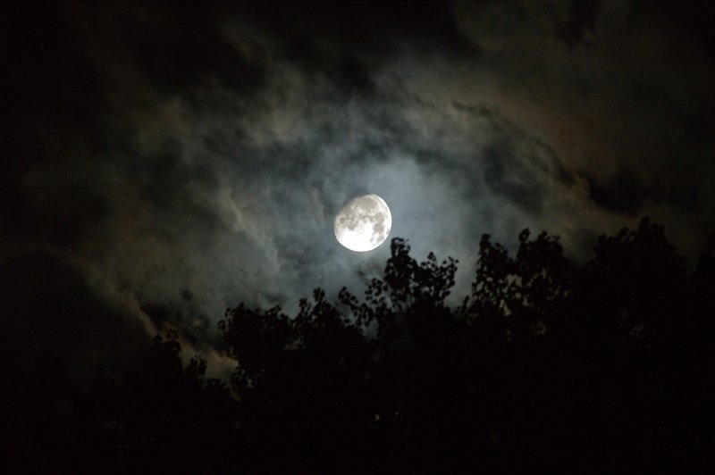 Живописный вид с земной поверхности 