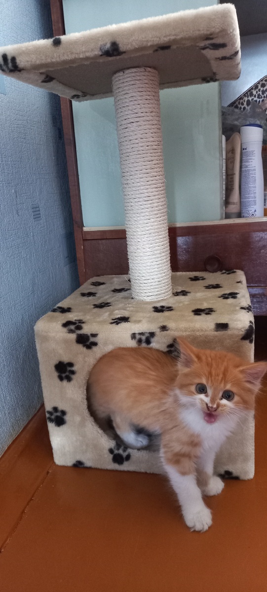 Это Степан маленький (фото из архива)