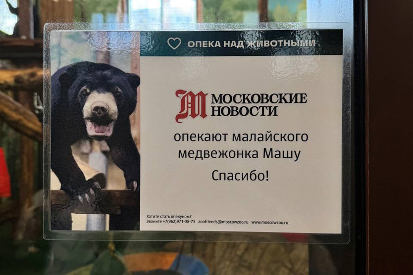    Фото: «Московские новости»