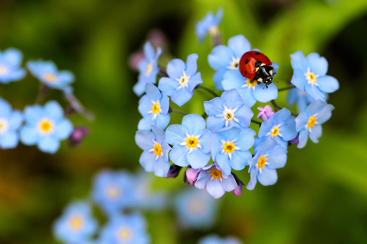 Изображение из открытых источников