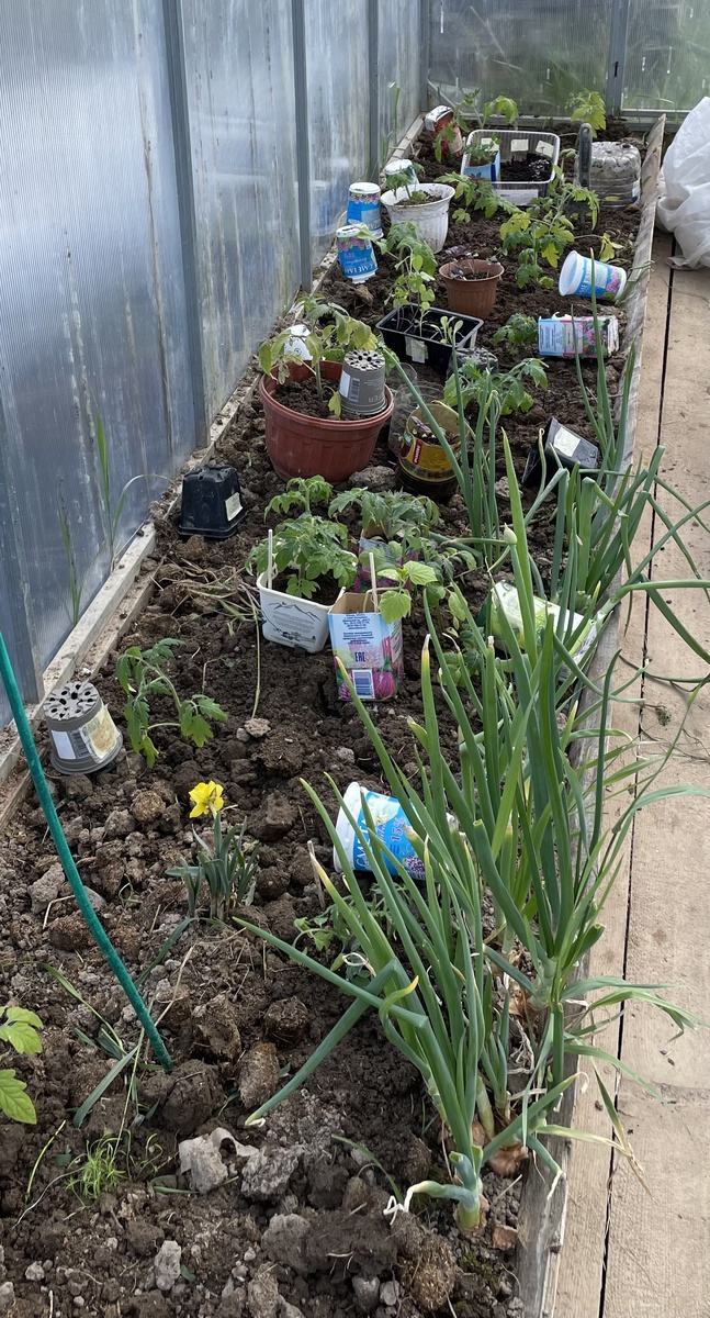 Тут пока хаос, рабочий беспорядок