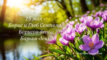 Zen Image