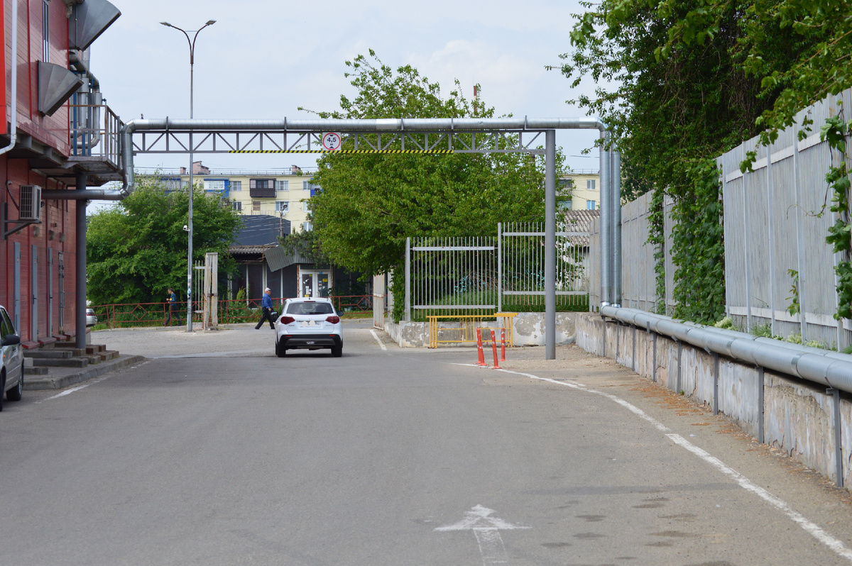 Фото автора. Май 2025. В городском  дворе.