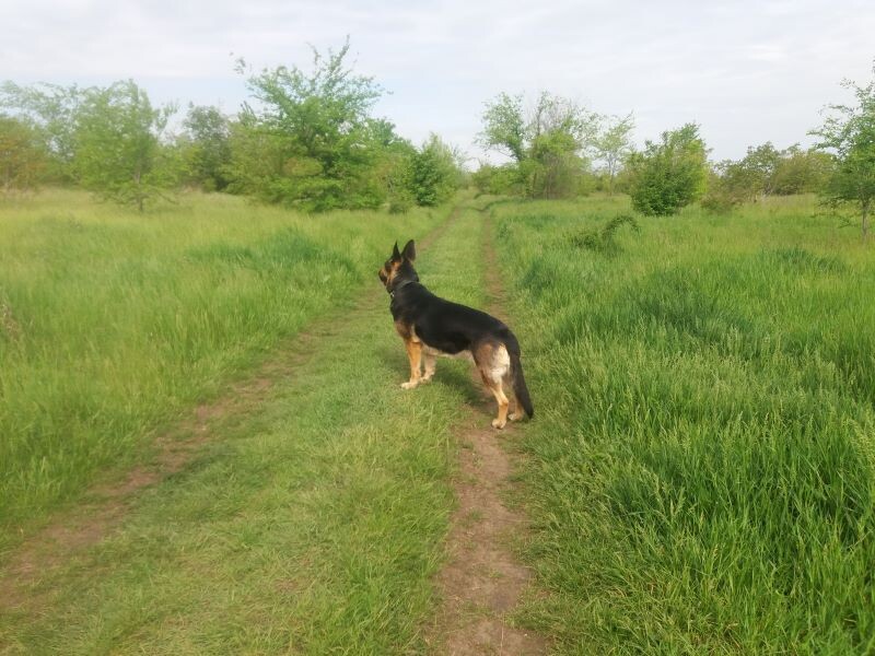 Фото автора