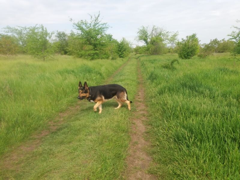 Фото автора