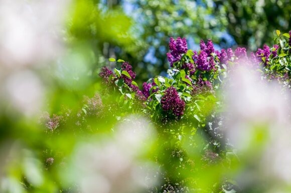 Фото: Москва 24/Лидия Широнина