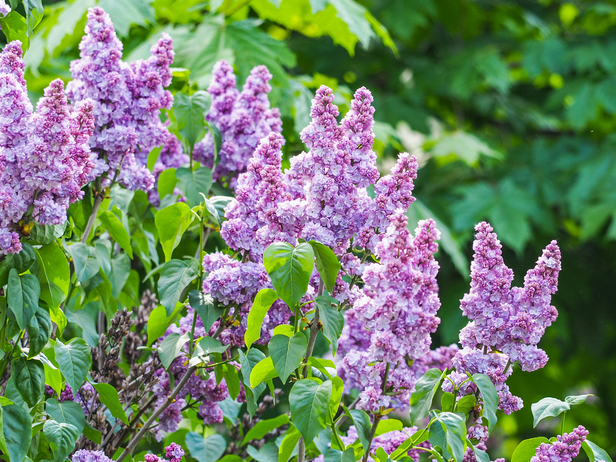 Фото: Москва 24/Лидия Широнина