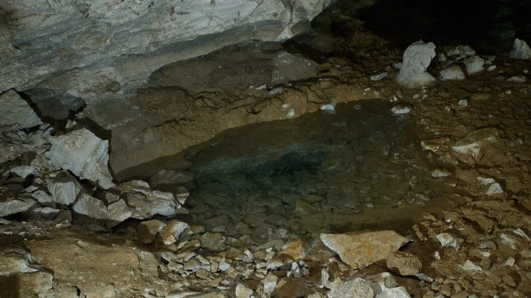    Dmitry Chasovitin/Global Look Press