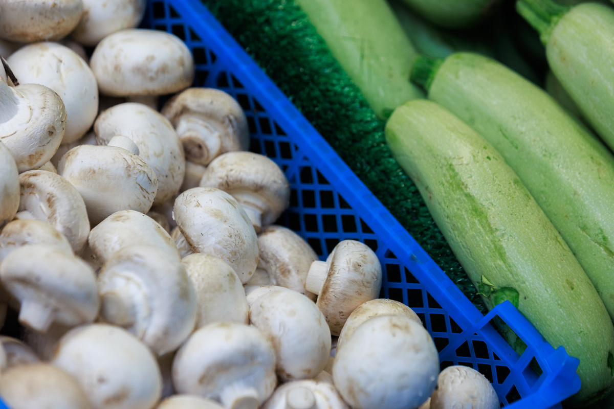 Фото: © Sergey Elagin/ Business Online/ Global Look Press