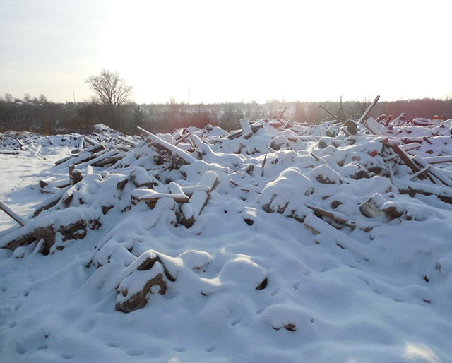 Гектар тверской сельхозземли завалили мусором. Штраф!