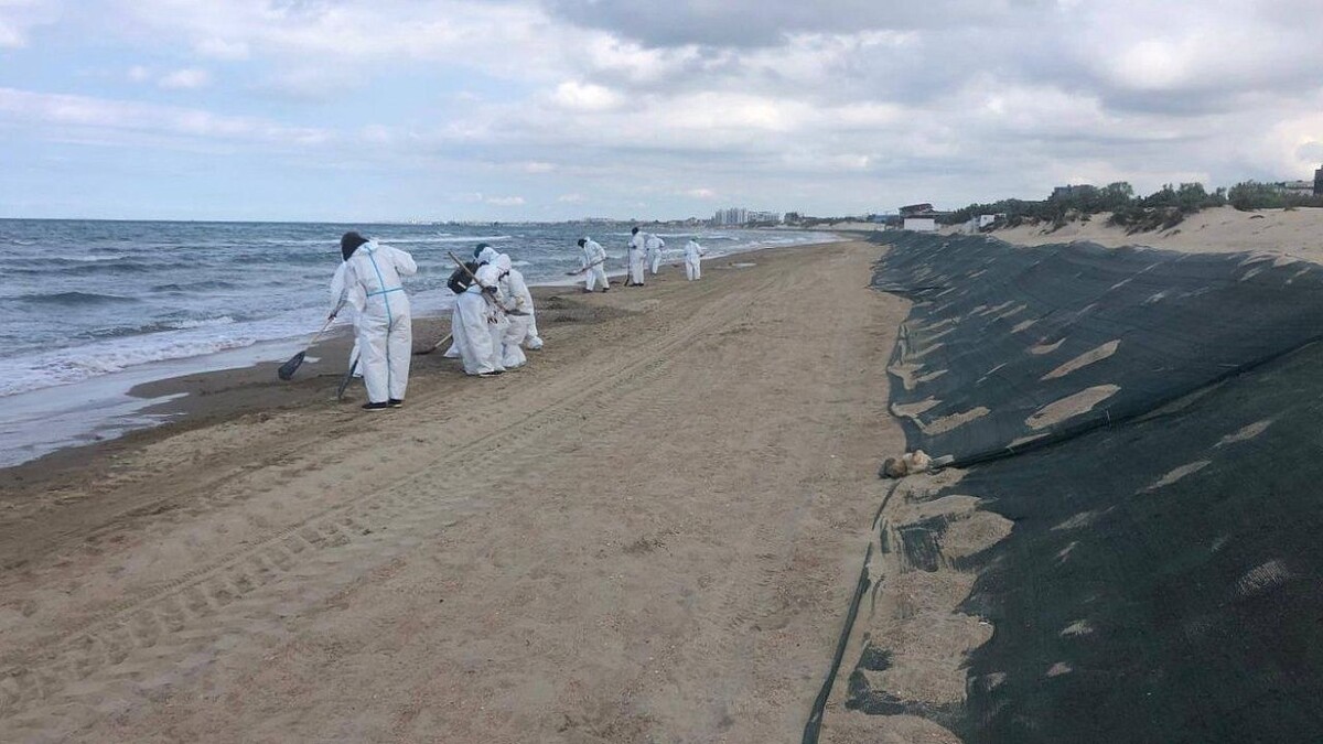    Фото: t.me/opershtab23