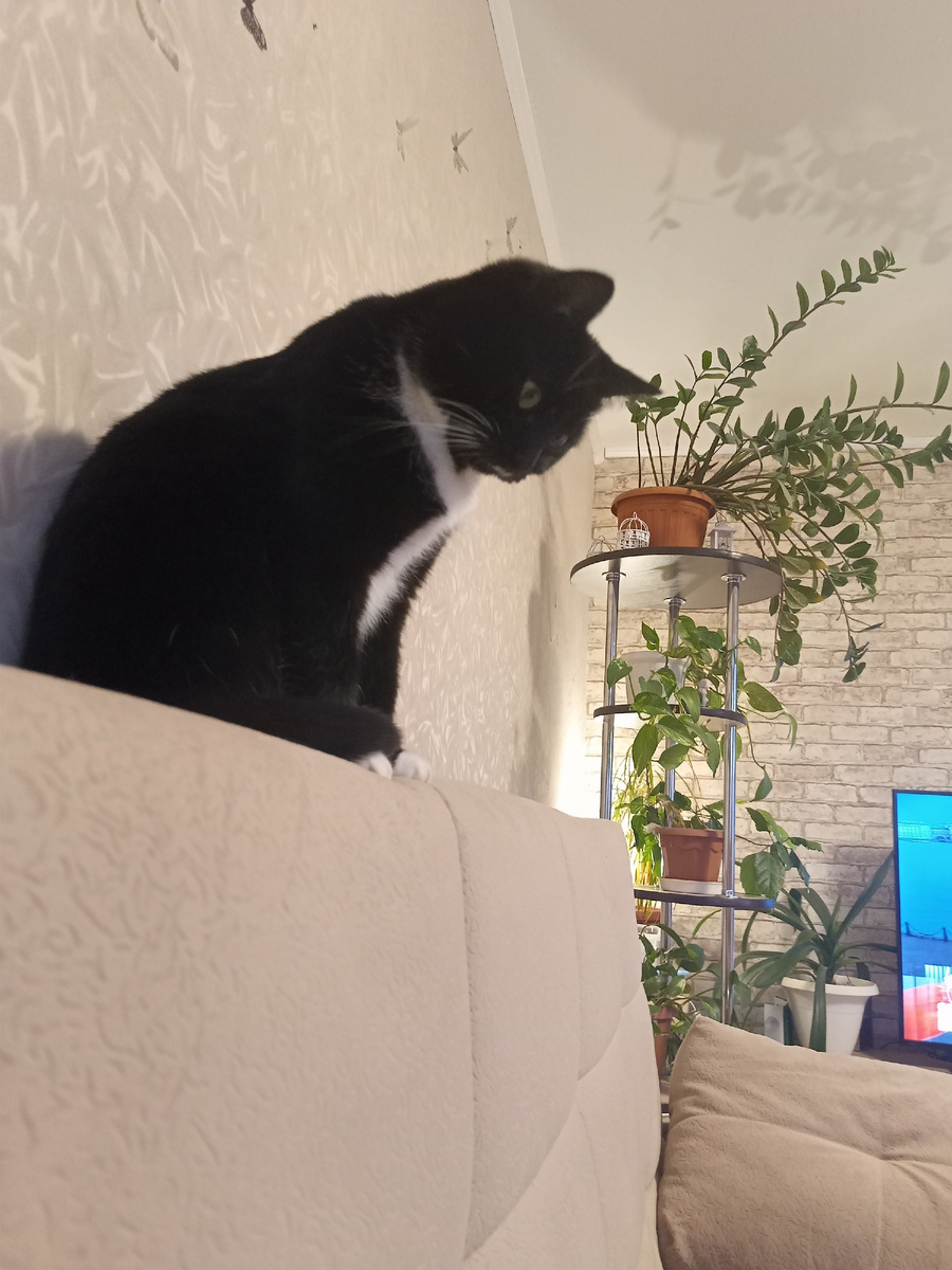 Контролирую обстановку 