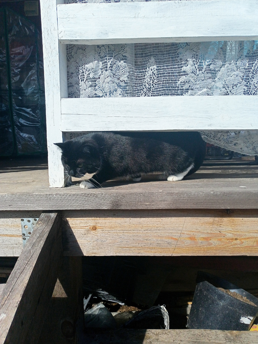 На улице тоже всё под контролем 