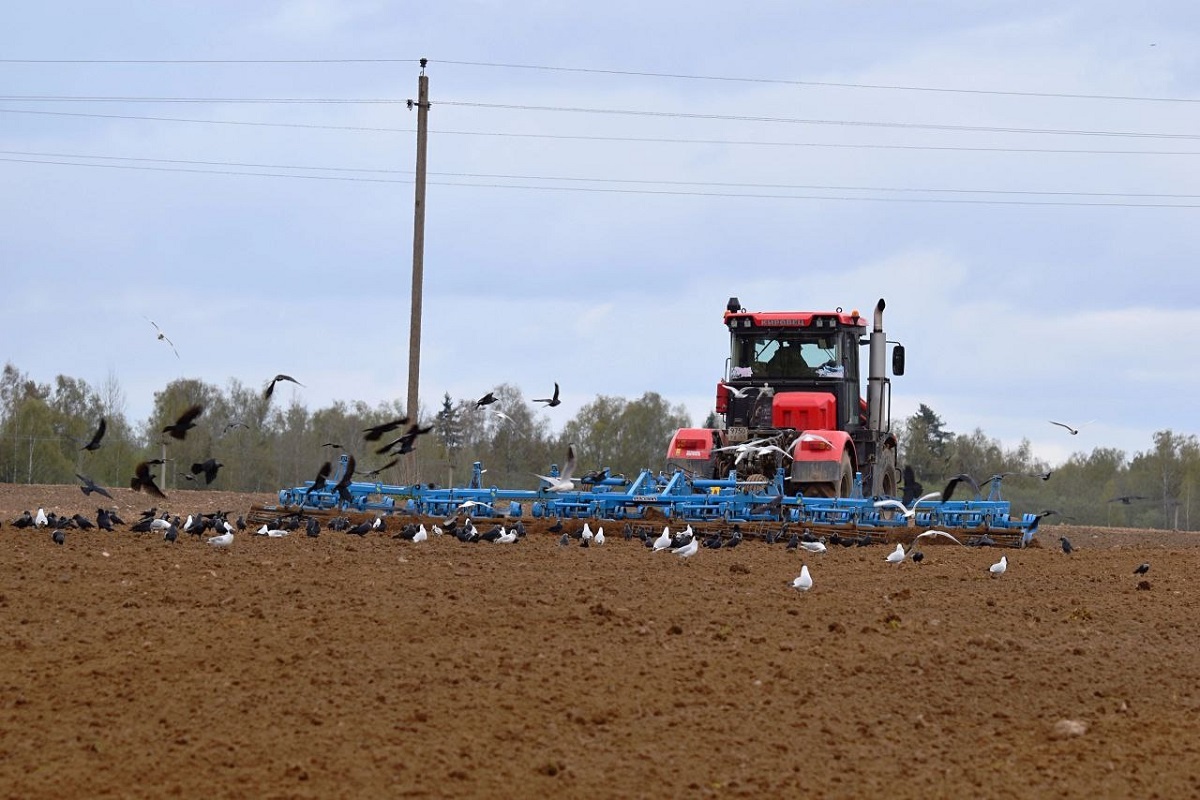 фото: колхоз «Мир» Торжокского округа