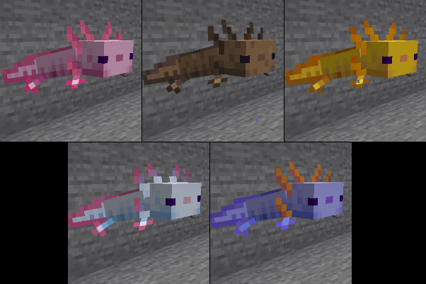 5 цветовых вариантов