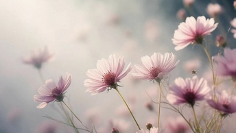 Zen Image