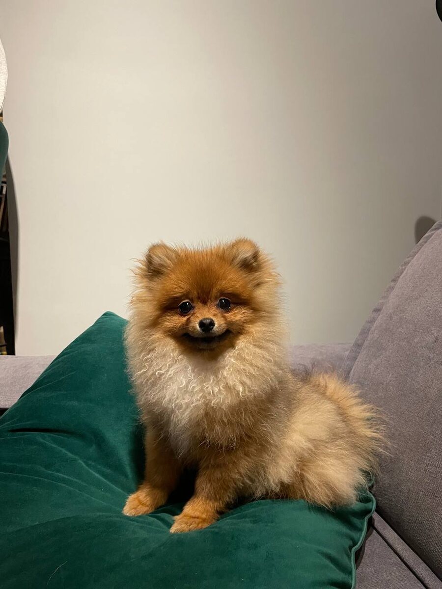 Оливка в детстве