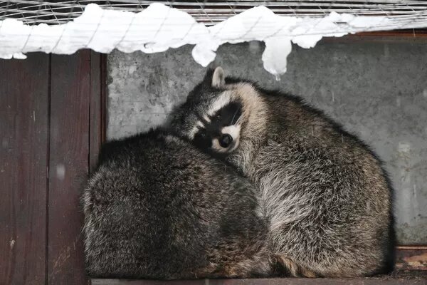 Фото: Maksim Blinov / Sputnik