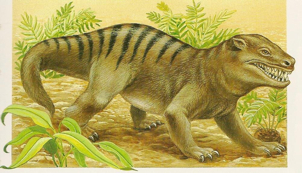 Первое изображение с циногнатом которое я увидел.