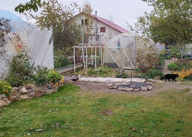 Вот так было осенью