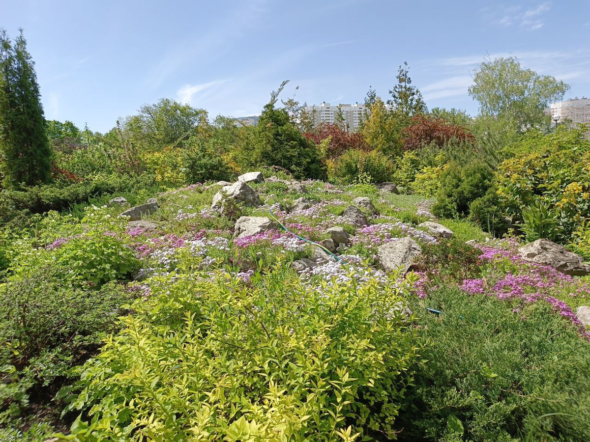 Ботанический сад, Самара. Фото автора.