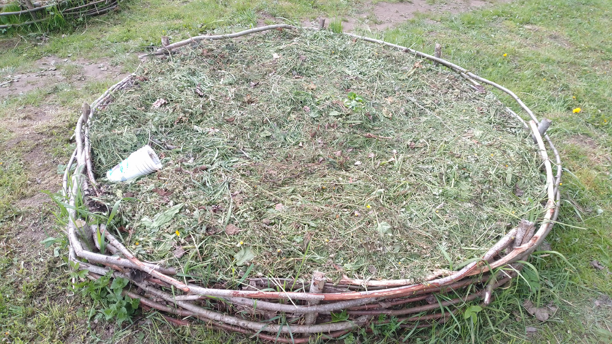 В этой грядке теперь живут мышки