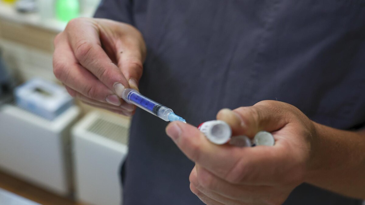    Фото: Petrov Sergey/news.ru