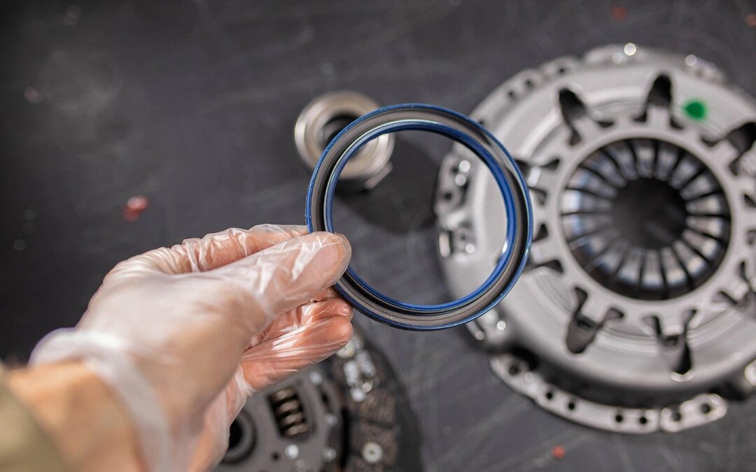 Фото: Velimir Zeland / Shutterstock / FOTODOM