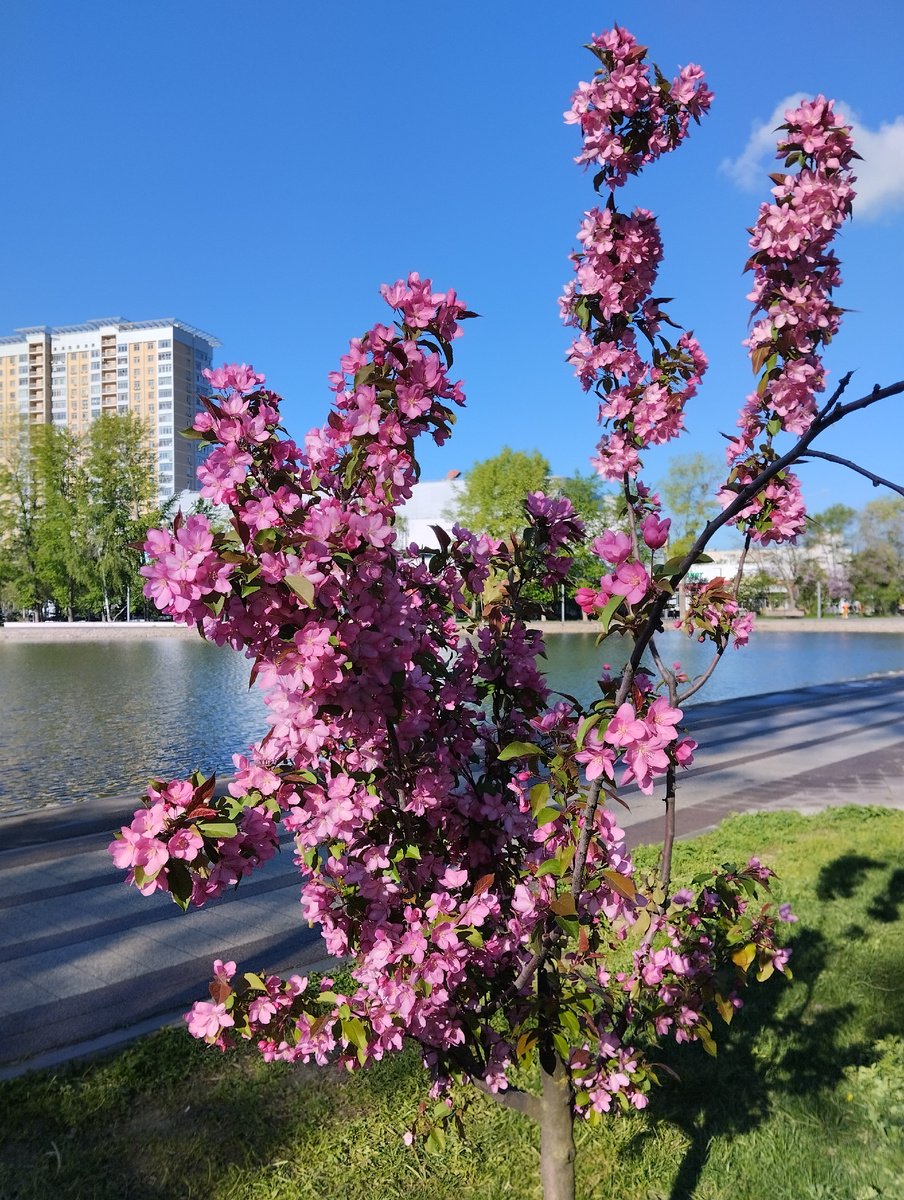 Фото автора 