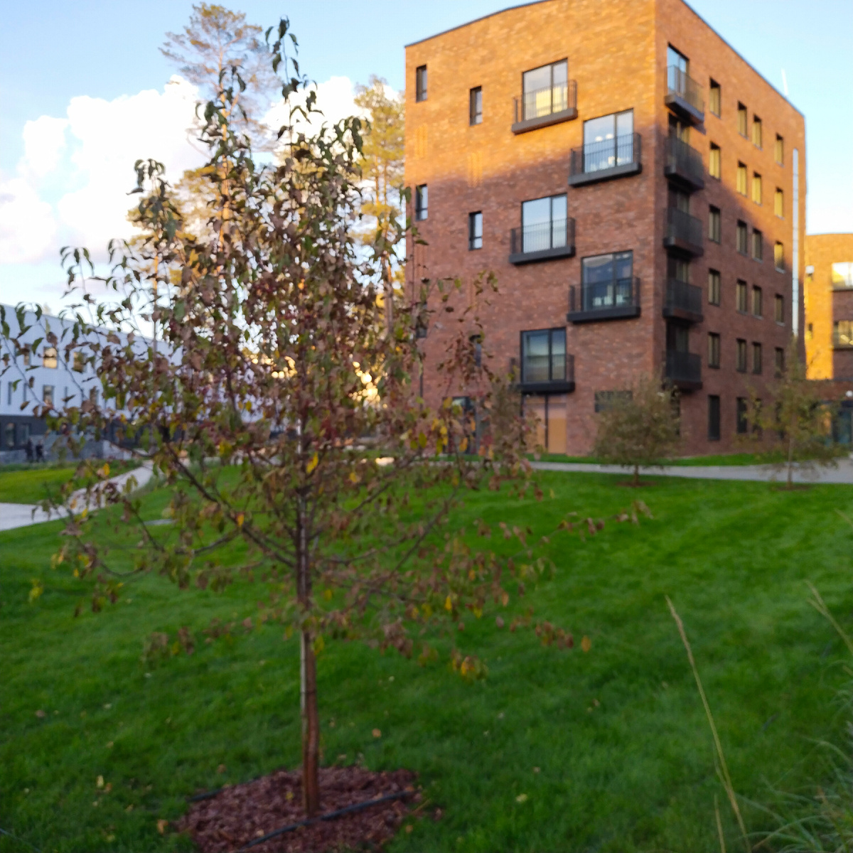 Фото  автора 