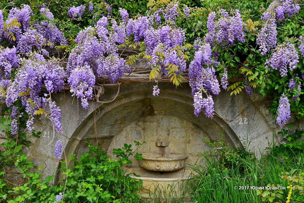 Фото Юрия Югансона.