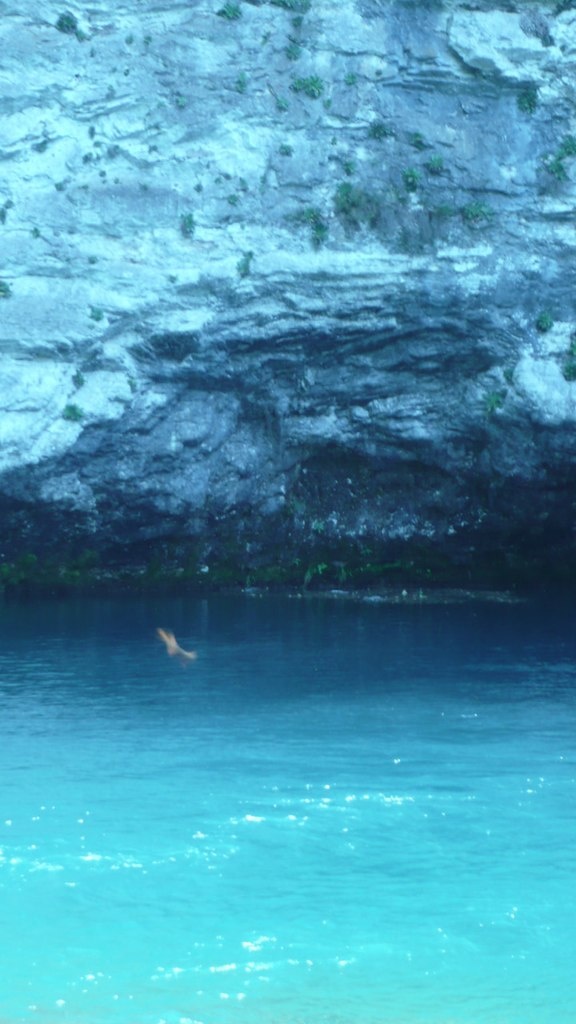 Фото автора. Голубое озеро. Абхазия.
