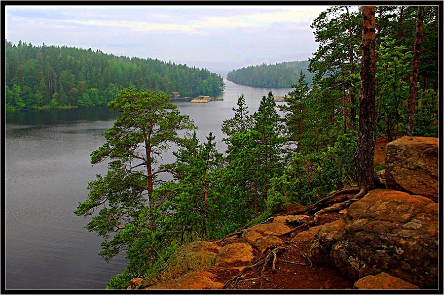 Фото из интернета.