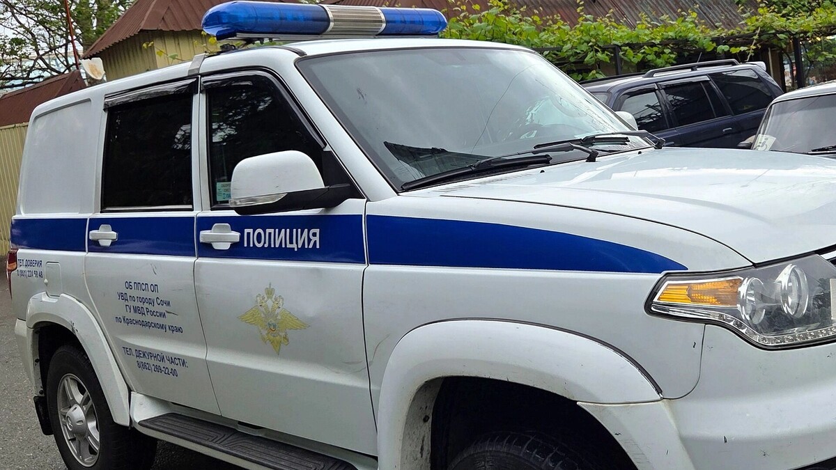     Автор: KubanPress