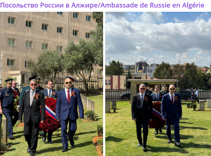    Скриншот:Telegram/Посольство России в Алжире/Ambassade de Russie en Algérie