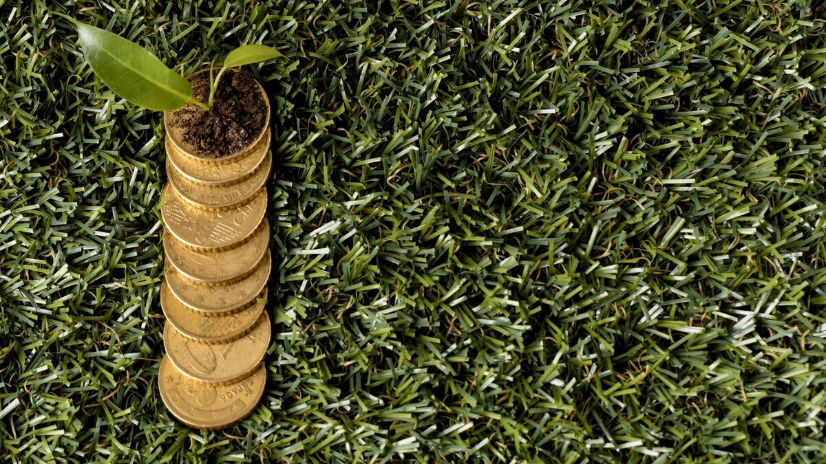     Источник: freepik.com