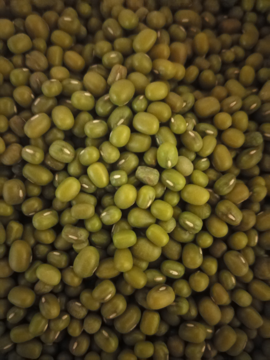 Зелёная чечевица. Фото автора канала
