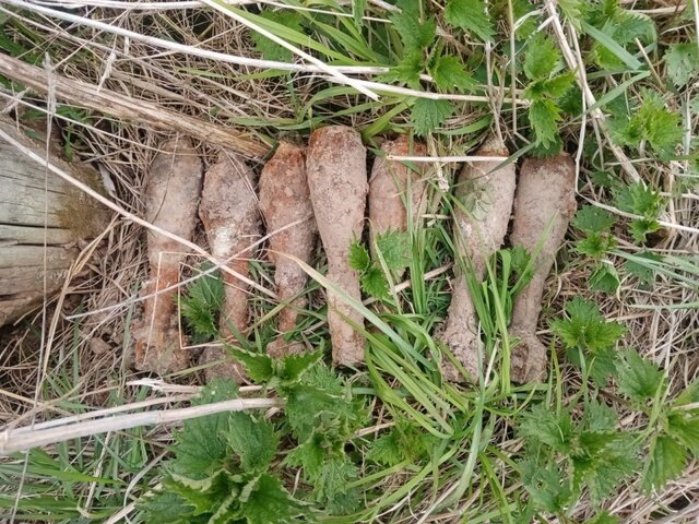    Фото: телеграм-канал "ГКУ МО Мособлпожспас"