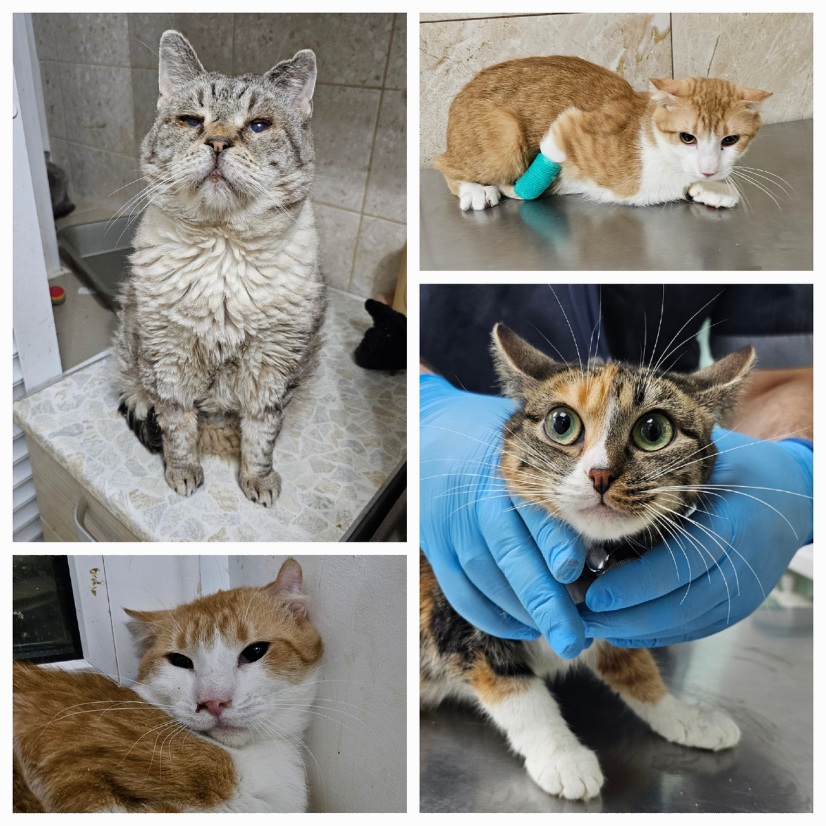 Фото автора. Ребята заболевшие фипом.