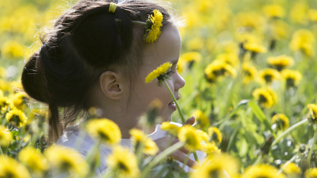    Фото: Nikolay Gyngazov, Николай/Globallookpress