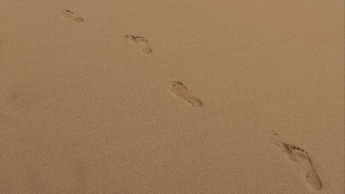     Автор: KubanPress