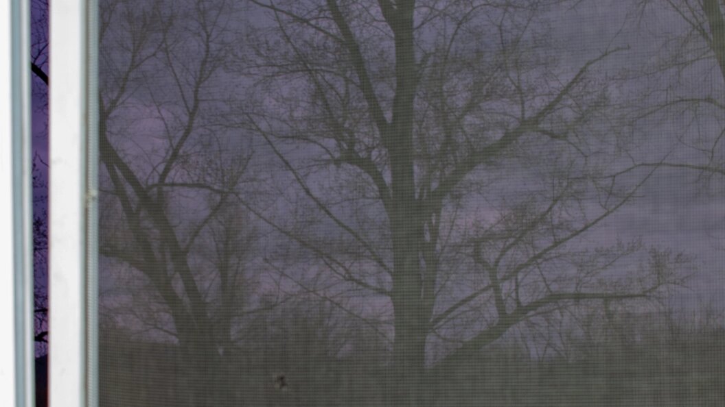    Svetlana Vozmilova/Global Look Press