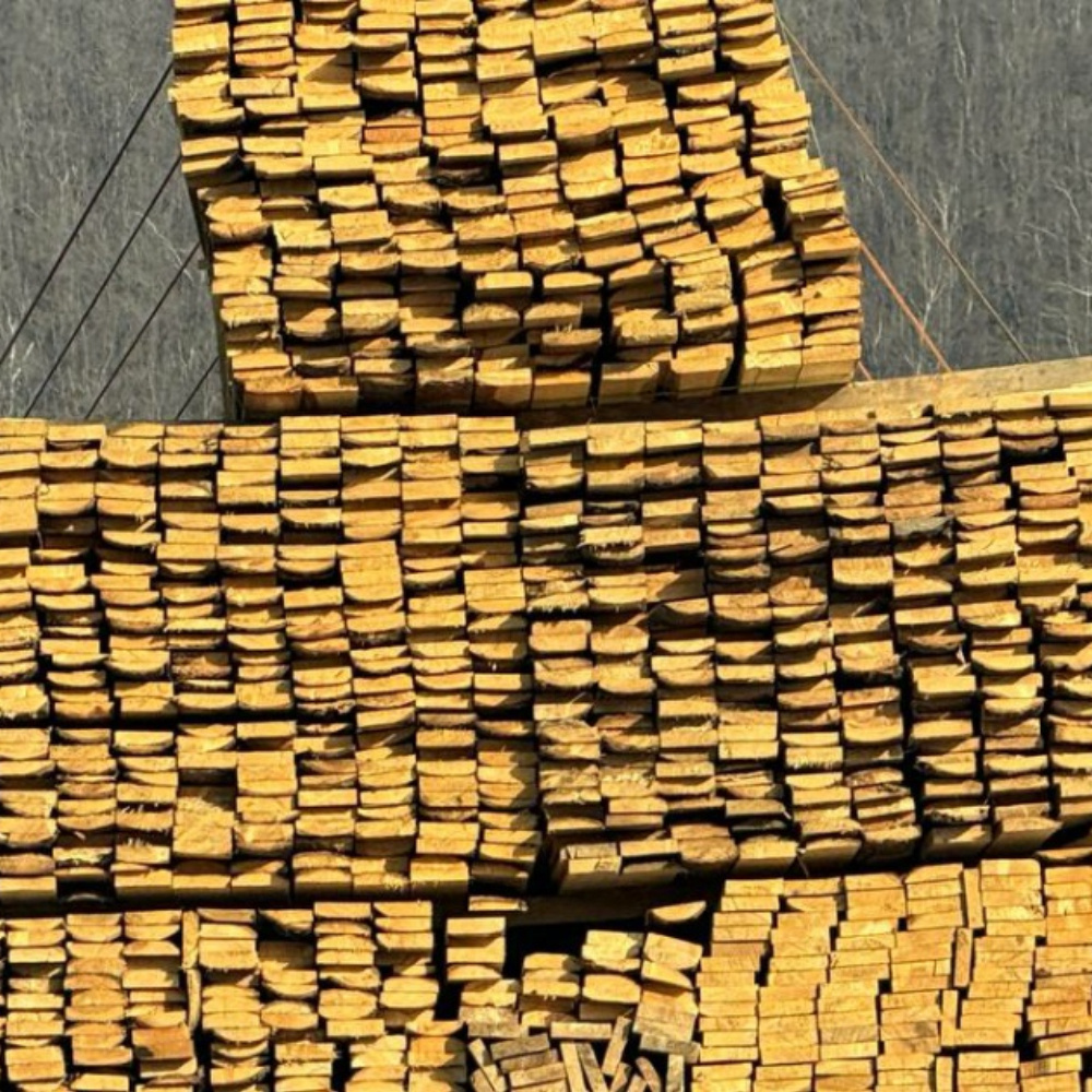 Он признан виновным в незаконном экспорте древесины стоимостью более 580 миллионов рублей. Решение вынес Тайшетский городской суд.