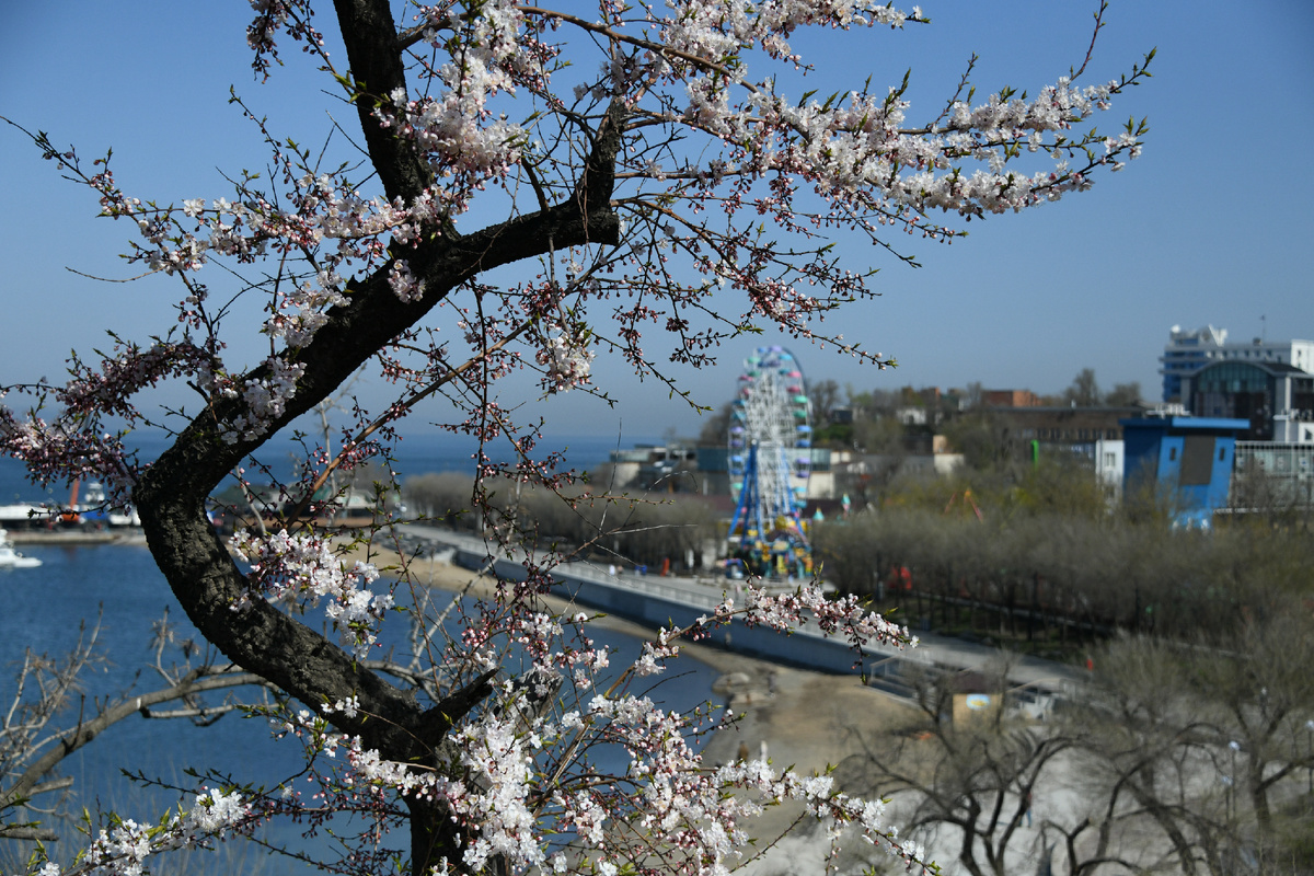 Фото Антона Балашова 
